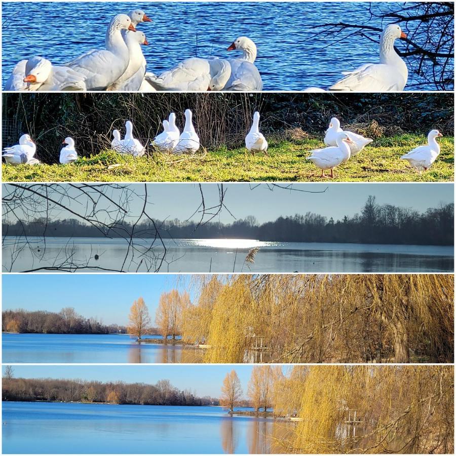 Ferienwohnung Casa Di Lago Heinsberg  Luaran gambar